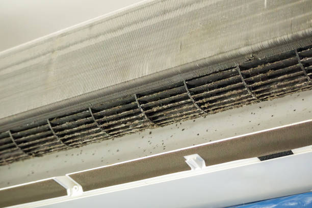 Best Dryer Vent Cleaning Services  in Marmora, NJ